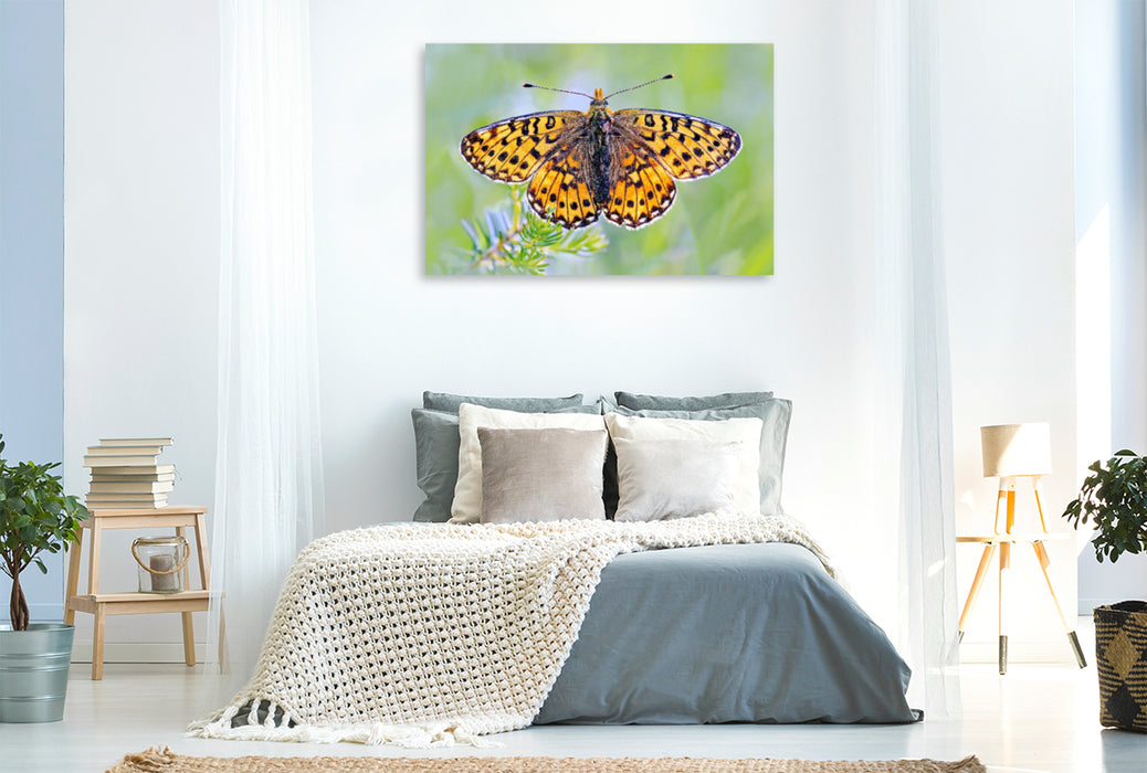 Premium textile canvas Premium textile canvas 120 cm x 80 cm across Large fritillary butterfly with open wings 