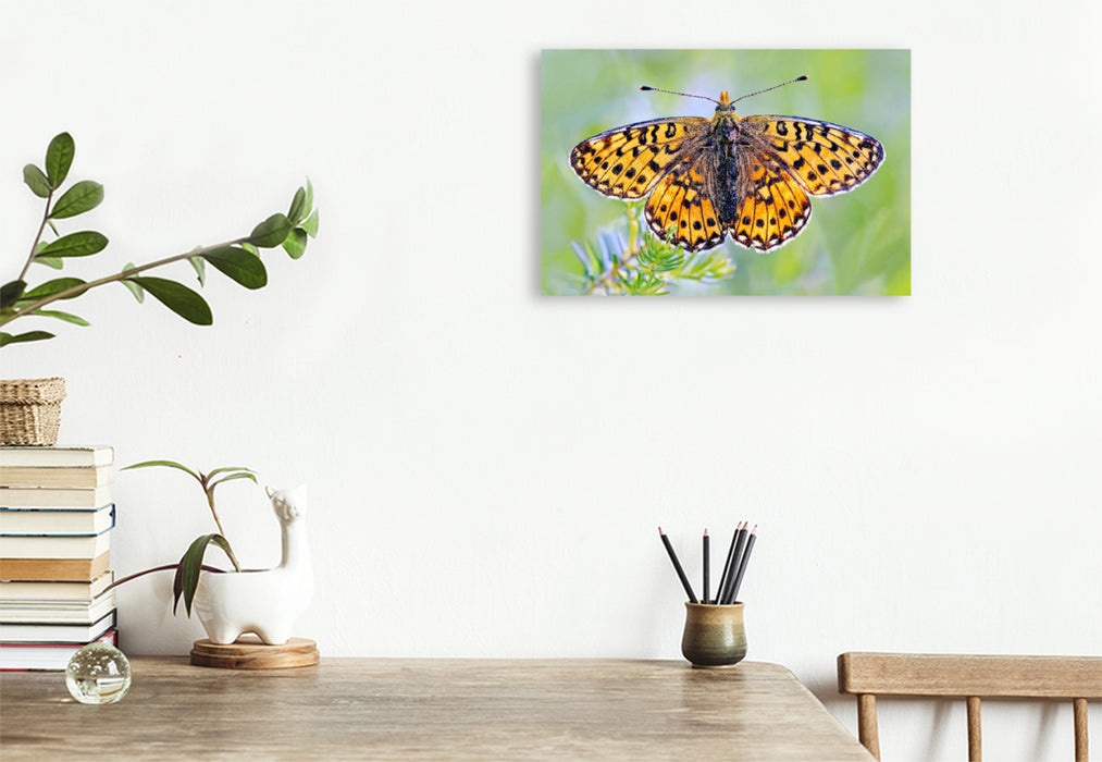Premium textile canvas Premium textile canvas 120 cm x 80 cm across Large fritillary butterfly with open wings 