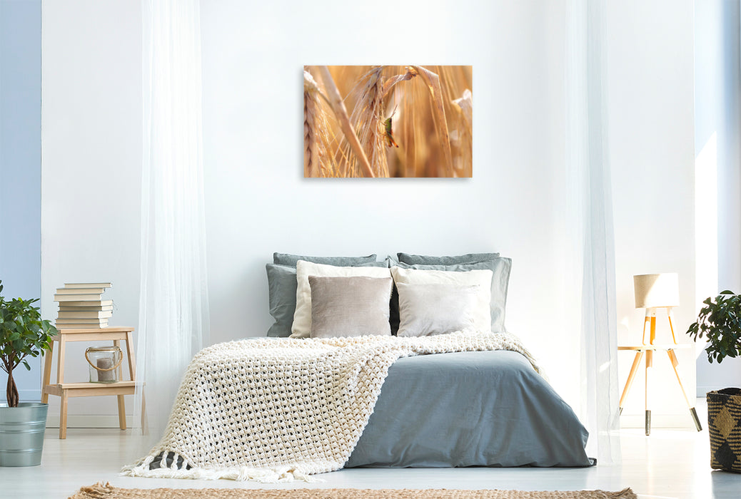 Premium textile canvas Premium textile canvas 120 cm x 80 cm landscape grasshopper 