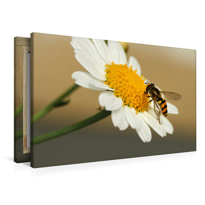 Toile textile premium Toile textile premium 120 cm x 80 cm paysage hoverfly 