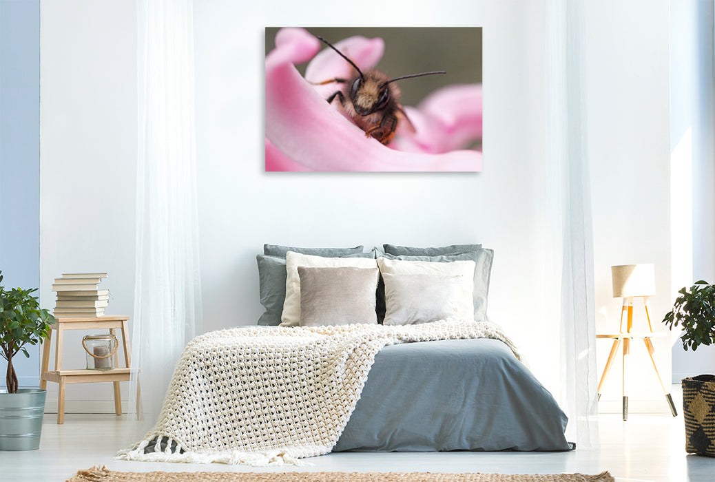 Premium Textil-Leinwand Premium Textil-Leinwand 120 cm x 80 cm quer Ein Motiv aus dem Kalender Insekten Kleine Wunder