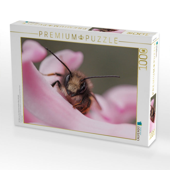 Ein Motiv aus dem Kalender Insekten Kleine Wunder - CALVENDO Foto-Puzzle'