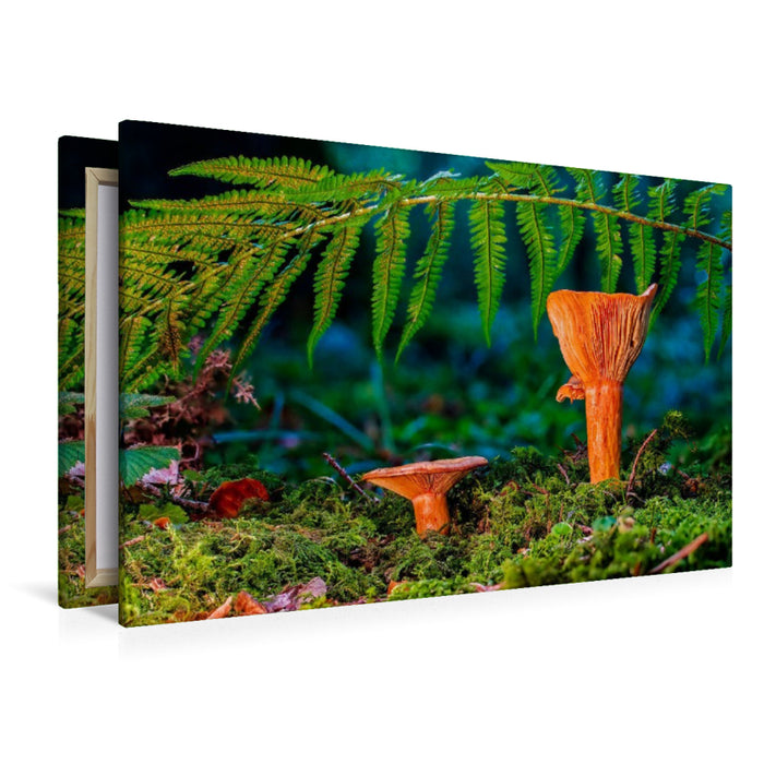 Premium Textil-Leinwand Edel-Reizker (Lactarius deliciosus)