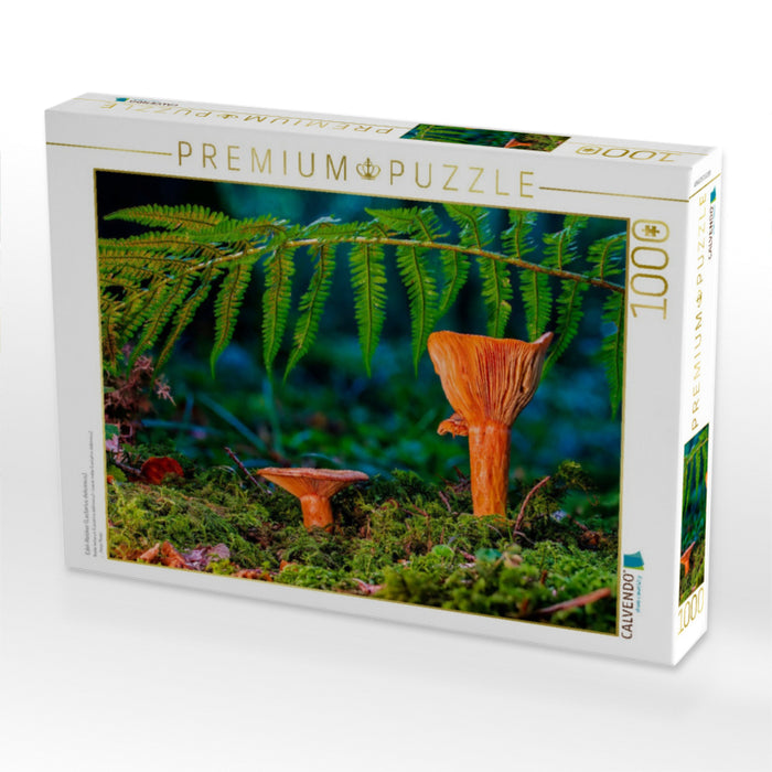Edel-Reizker (Lactarius deliciosus) - CALVENDO Foto-Puzzle'