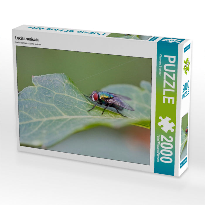 Lucilia sericata 2000 Teile Puzzle quer - CALVENDO Foto-Puzzle'