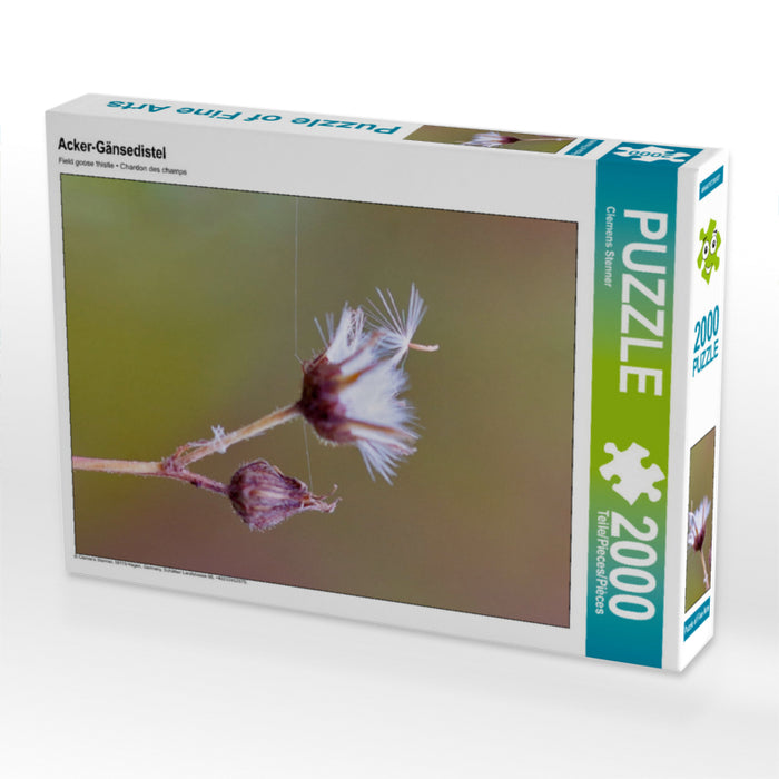 Field goose thistle - CALVENDO photo puzzle 