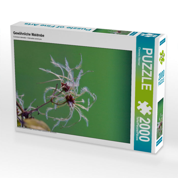 Gewöhnliche Waldrebe 2000 Teile Puzzle hoch - CALVENDO Foto-Puzzle'