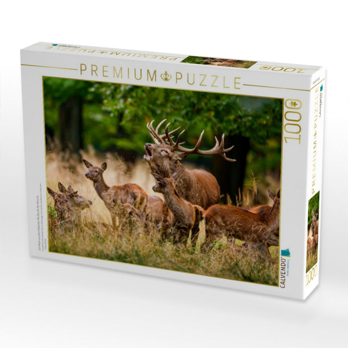 Ein Motiv aus dem Kalender Die Brunft der Hirsche - CALVENDO Foto-Puzzle'
