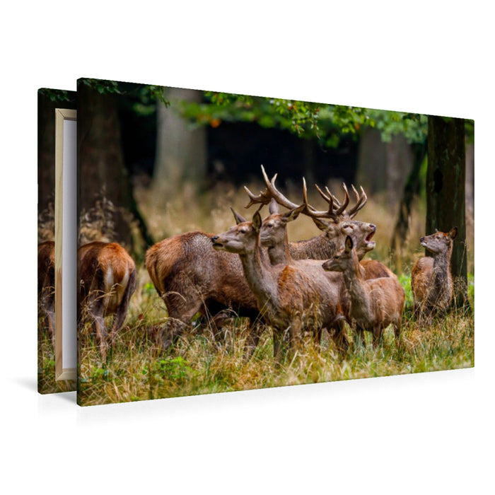 Premium Textil-Leinwand Rothirsch in der Brunft