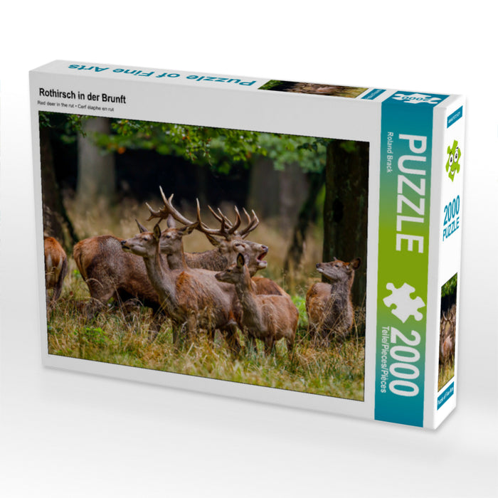 Rothirsch in der Brunft 2000 Teile Puzzle quer - CALVENDO Foto-Puzzle'