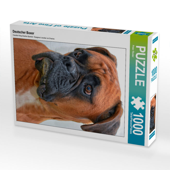 German boxer - CALVENDO photo puzzle 