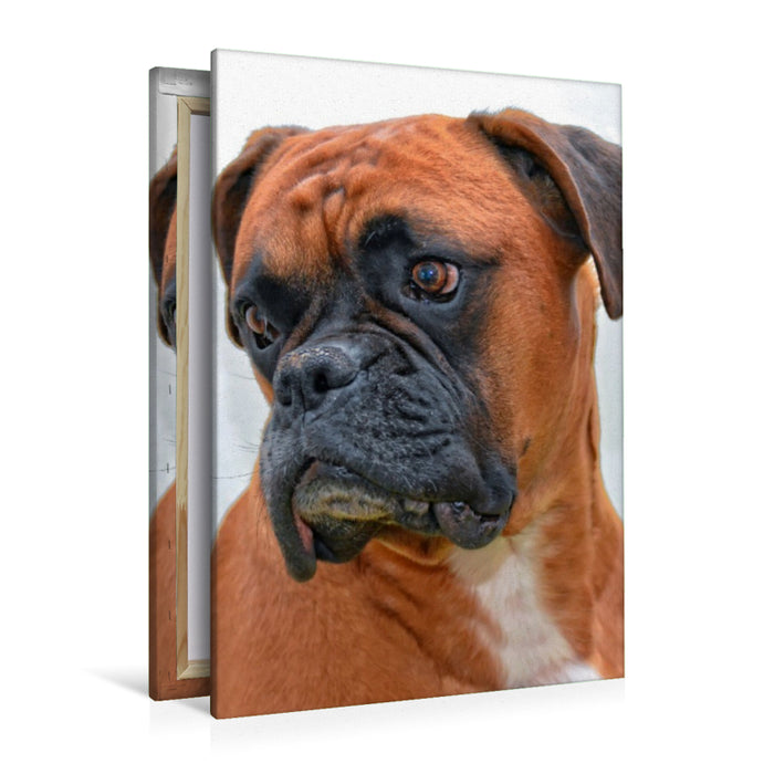 Premium Textil-Leinwand Deutscher Boxer