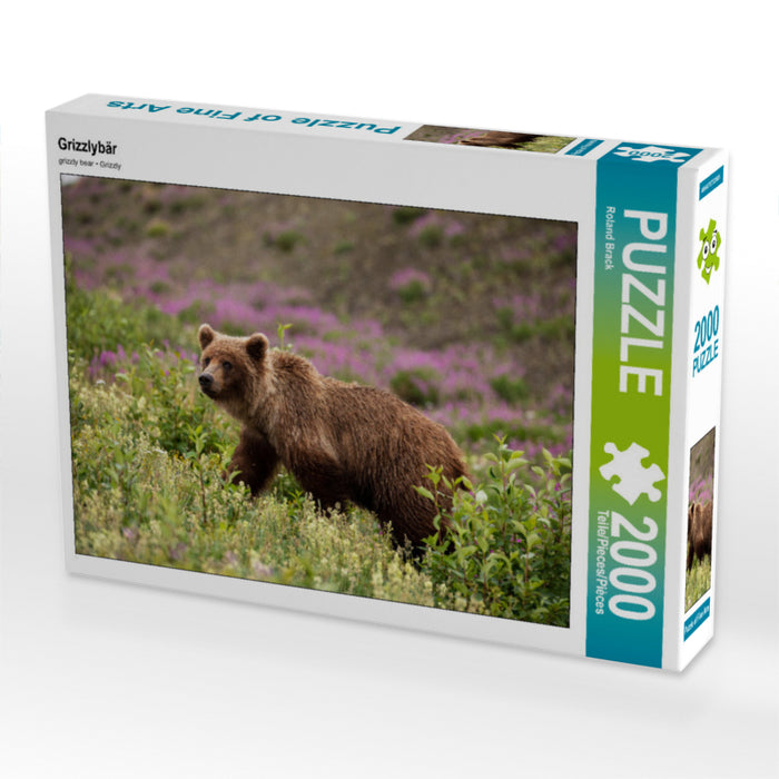 Grizzlybär 2000 Teile Puzzle quer - CALVENDO Foto-Puzzle'
