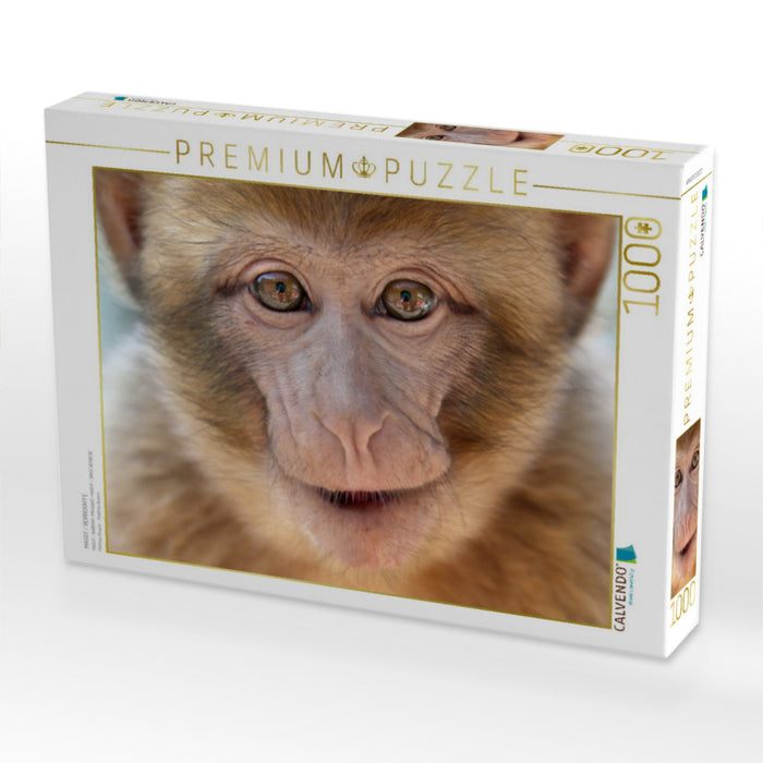 MAGOT / BERBERAFFE - CALVENDO Foto-Puzzle'
