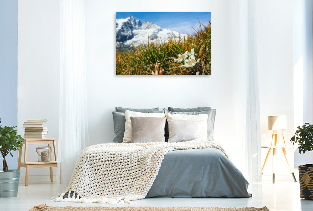 Premium textile canvas Premium textile canvas 120 cm x 80 cm across A motif from the calendar Edelweiss landmark of the Alps 