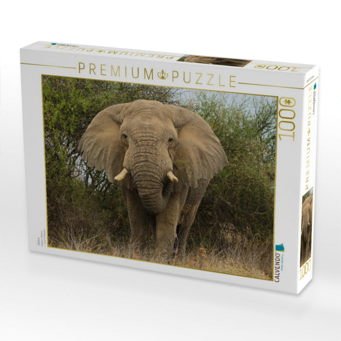 Elefant - CALVENDO Foto-Puzzle'