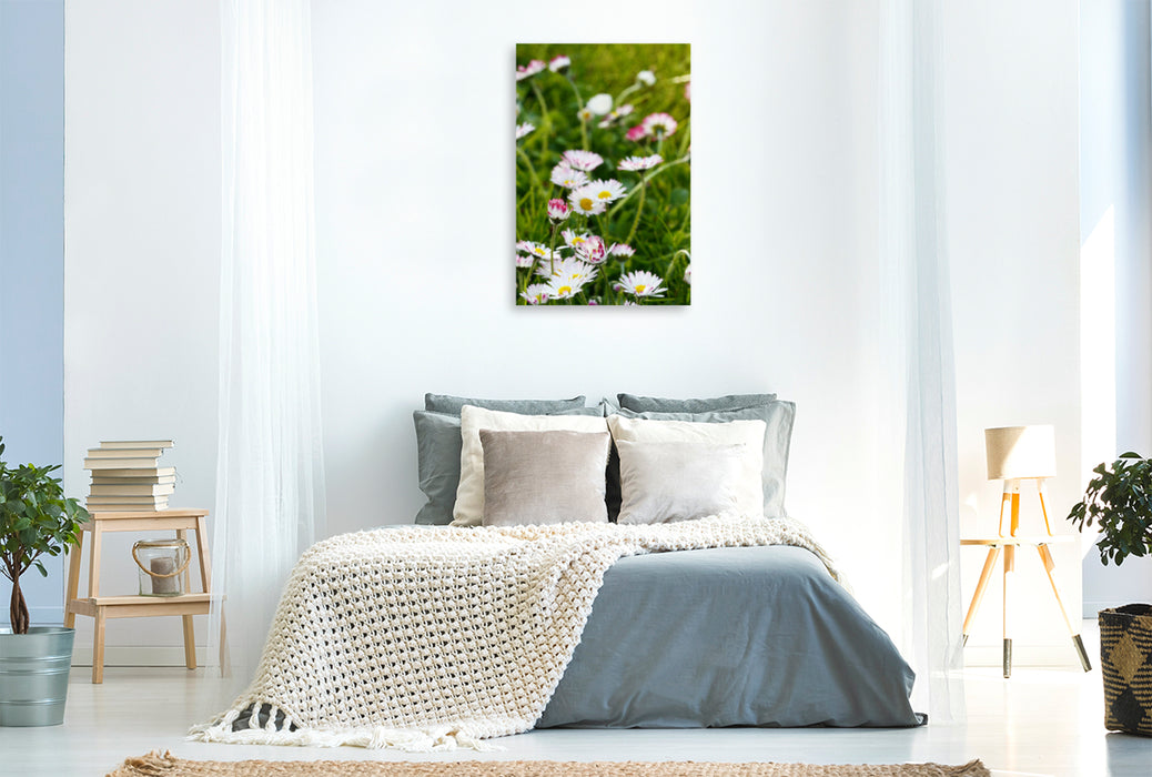 Premium textile canvas Premium textile canvas 80 cm x 120 cm high daisies in the meadow 