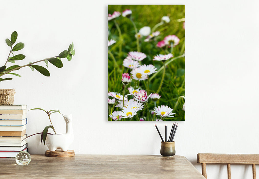 Premium textile canvas Premium textile canvas 80 cm x 120 cm high daisies in the meadow 