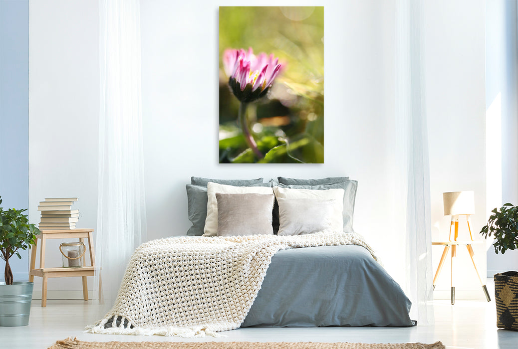 Premium textile canvas Premium textile canvas 80 cm x 120 cm high Dreamy daisy 