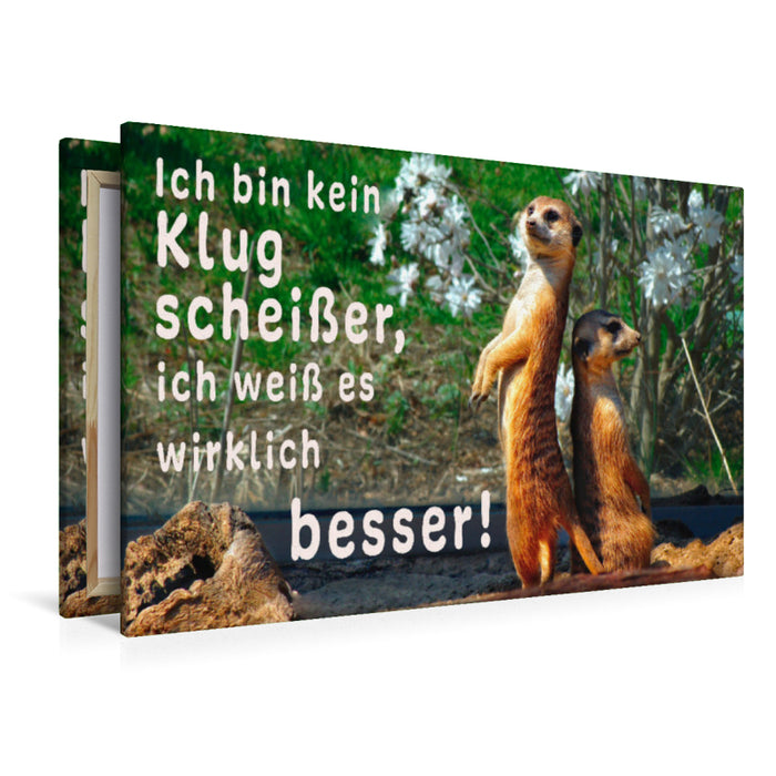 Premium Textil-Leinwand Die Wahrheit