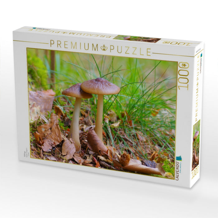 Rötlinge - CALVENDO Foto-Puzzle'