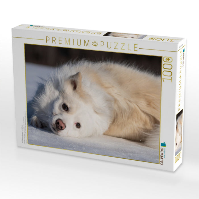 Hundespaziergang im Schnee - CALVENDO Foto-Puzzle'