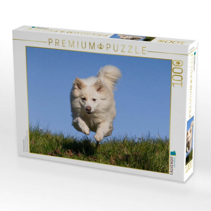 Hundespaziergang - CALVENDO Foto-Puzzle'