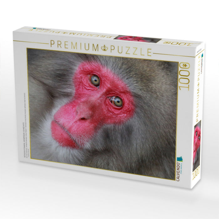 ROTGESICHTSMAKAK, JAPANMAKAK, SCHNEEAFFE - CALVENDO Foto-Puzzle'