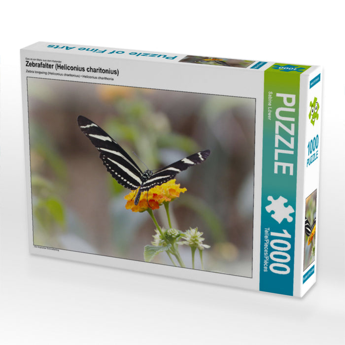 Zebra butterfly (Heliconius charitonius) - CALVENDO photo puzzle 
