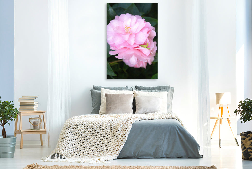 Premium textile canvas Premium textile canvas 80 cm x 120 cm high camellia flowers 