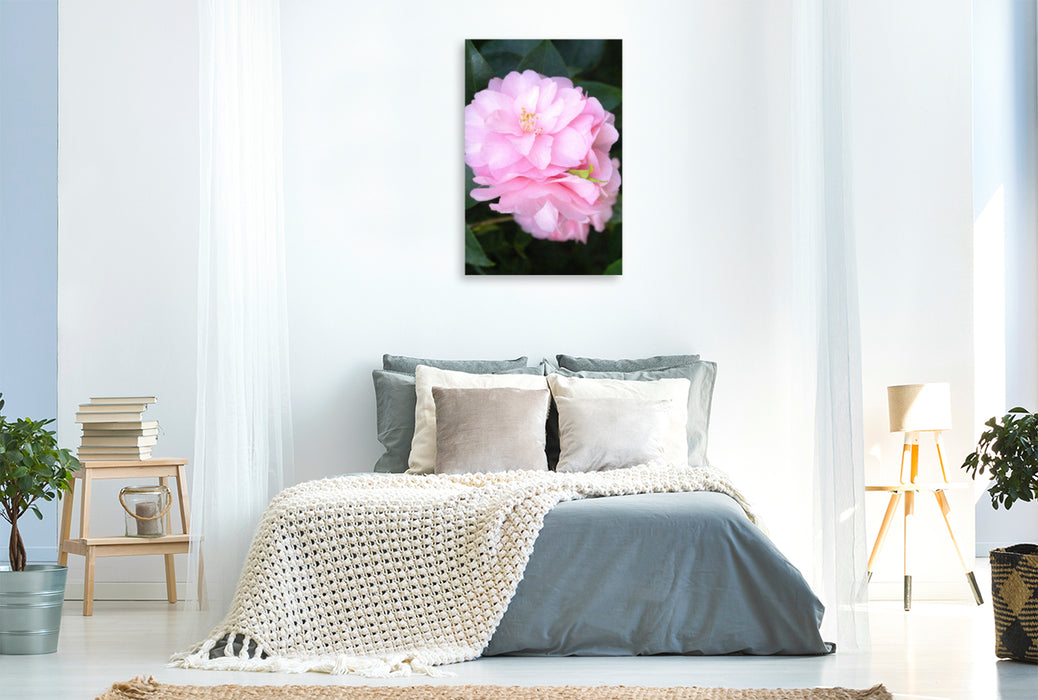 Premium textile canvas Premium textile canvas 80 cm x 120 cm high camellia flowers 