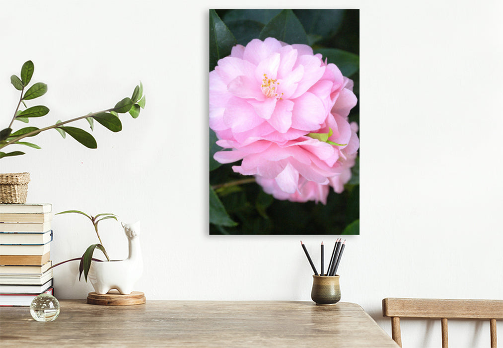 Premium textile canvas Premium textile canvas 80 cm x 120 cm high camellia flowers 