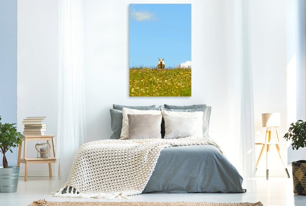 Premium textile canvas Premium textile canvas 80 cm x 120 cm high An image of the cow calendar 