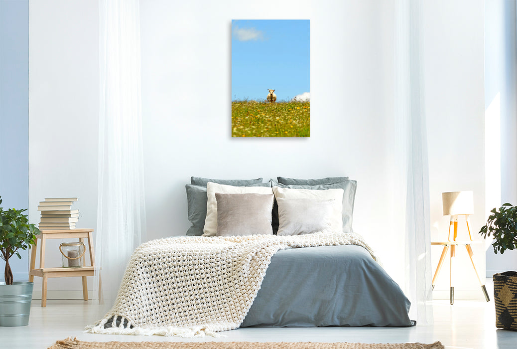 Premium textile canvas Premium textile canvas 80 cm x 120 cm high An image of the cow calendar 