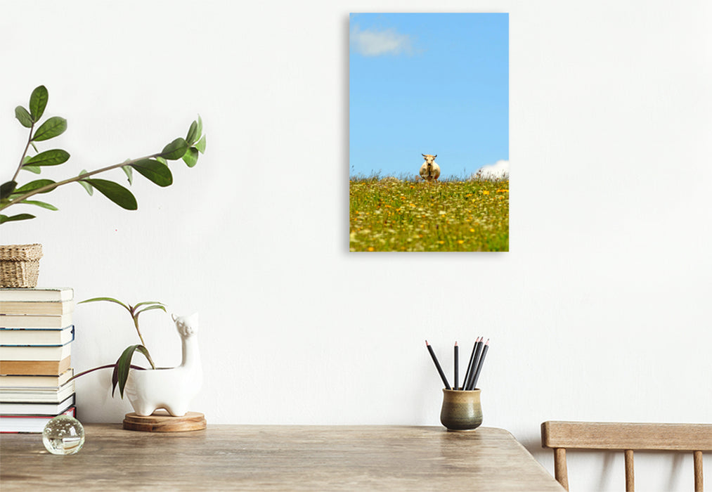 Premium textile canvas Premium textile canvas 80 cm x 120 cm high An image of the cow calendar 