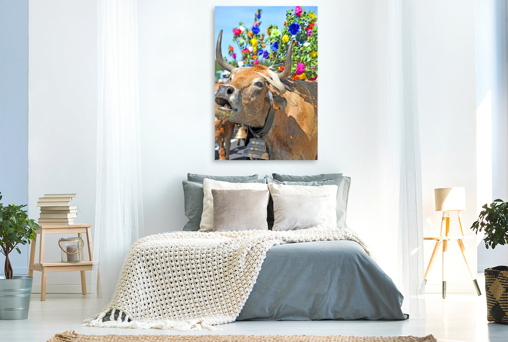 Premium textile canvas Premium textile canvas 80 cm x 120 cm high Roar of a cow 