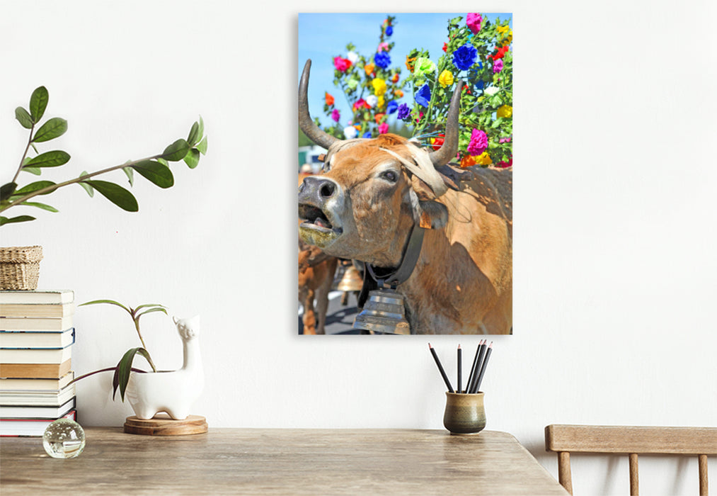 Premium textile canvas Premium textile canvas 80 cm x 120 cm high Roar of a cow 