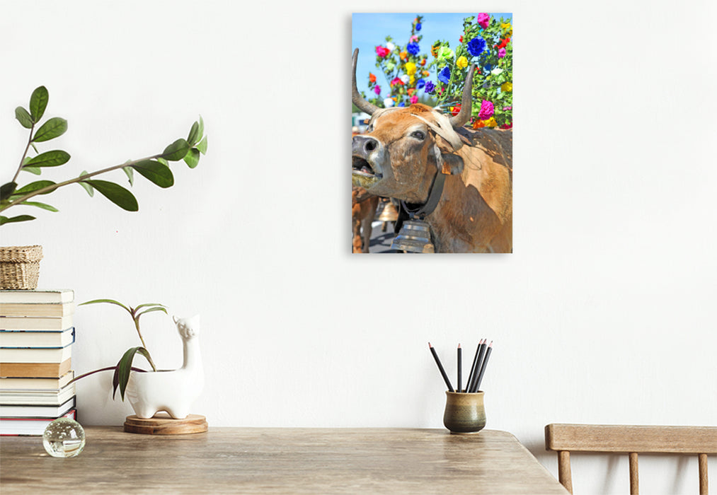 Premium textile canvas Premium textile canvas 80 cm x 120 cm high Roar of a cow 