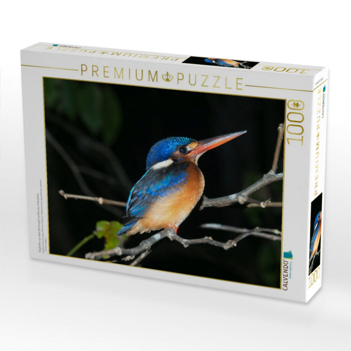 Kingfisher aus dem Dschungel von Borneo, Indonesien - CALVENDO Foto-Puzzle'