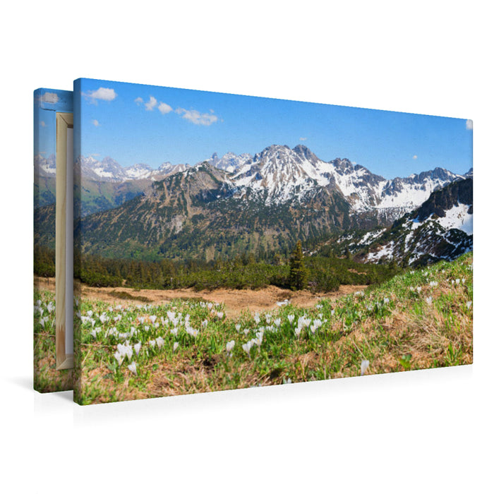 Premium Textil-Leinwand Krokuswiese am Fellhorn