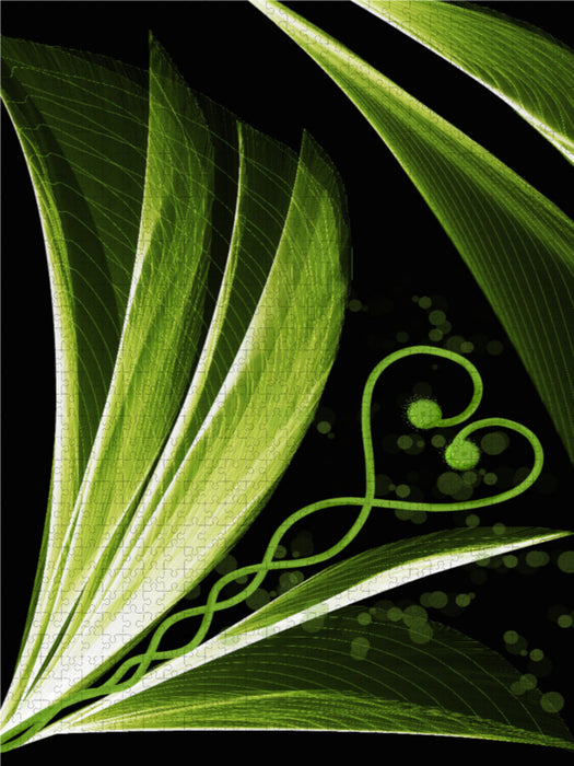 Green heart leaf decorative - CALVENDO photo puzzle 