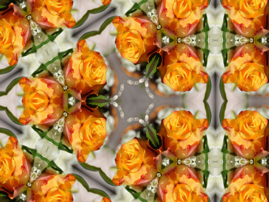 Rosentrio - CALVENDO Foto-Puzzle'