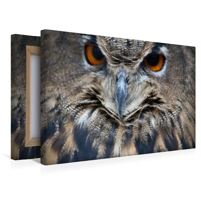 Premium Textil-Leinwand Eule