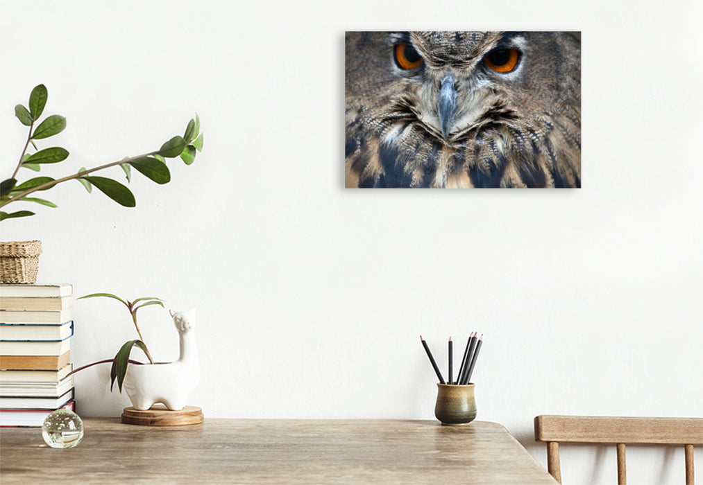 Premium textile canvas Premium textile canvas 45 cm x 30 cm landscape owl 