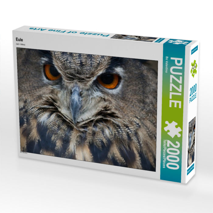 Eule 2000 Teile Puzzle quer - CALVENDO Foto-Puzzle'