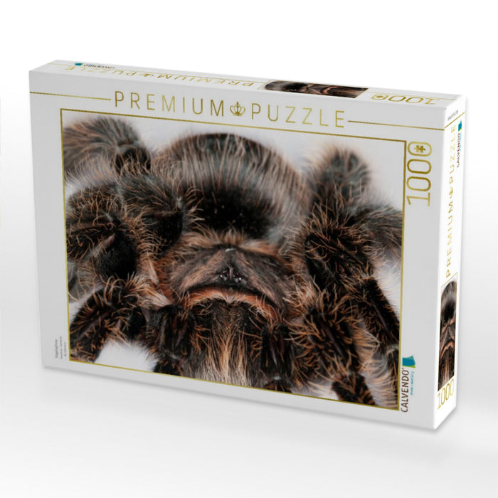 Vogelspinne - CALVENDO Foto-Puzzle'