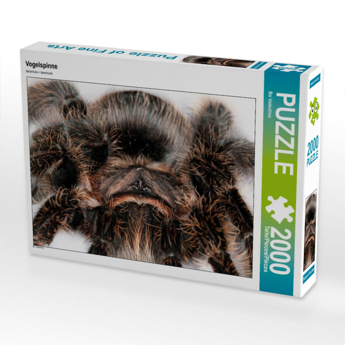 Vogelspinne 2000 Teile Puzzle quer - CALVENDO Foto-Puzzle'