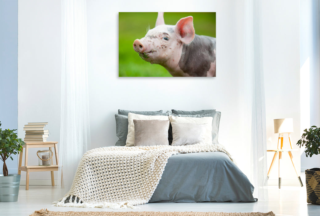 Premium textile canvas Premium textile canvas 120 cm x 80 cm landscape pig 