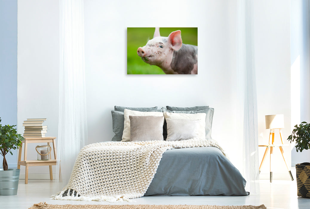 Premium textile canvas Premium textile canvas 120 cm x 80 cm landscape pig 