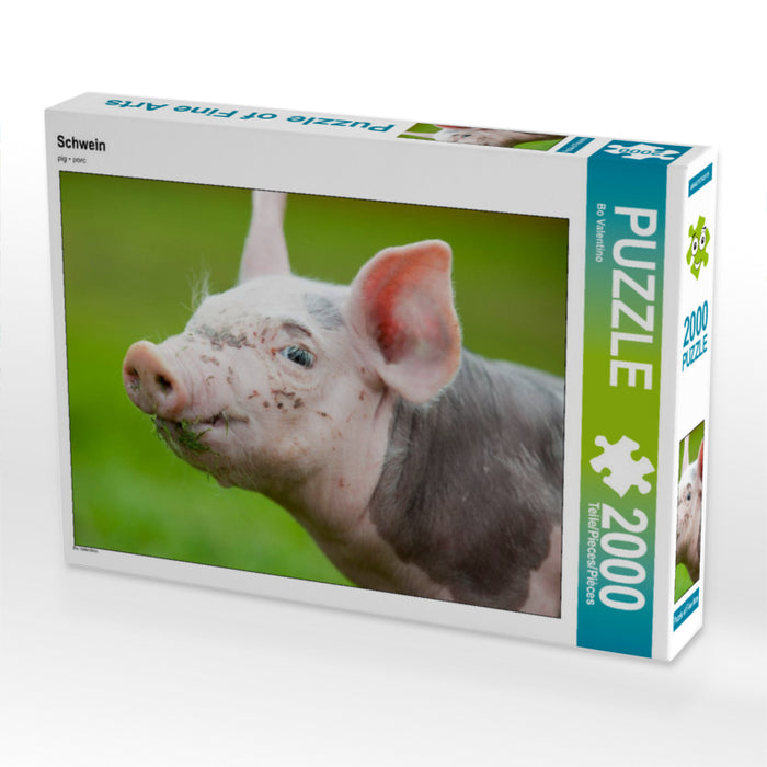 Schwein 2000 Teile Puzzle quer - CALVENDO Foto-Puzzle'